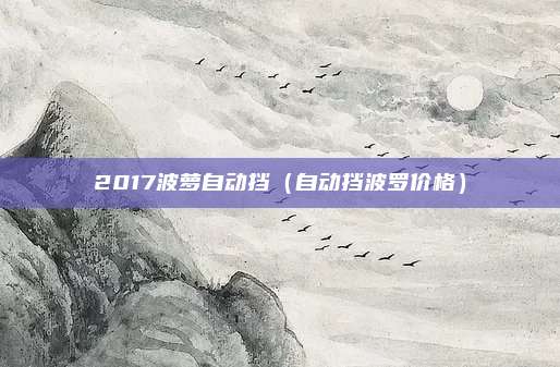 2017波萝自动挡(自动挡波罗价格)