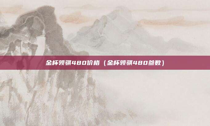 金杯领骐480价格（金杯领骐480参数）