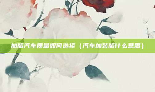 加版汽车质量如何选择（汽车加装版什么意思）