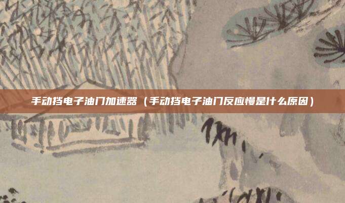 手动挡电子油门加速器（手动挡电子油门反应慢是什么原因）