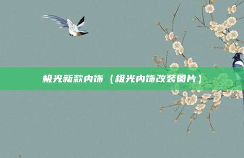 极光新款内饰（极光内饰改装图片）