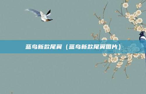 蓝鸟新款尾翼（蓝鸟新款尾翼图片）