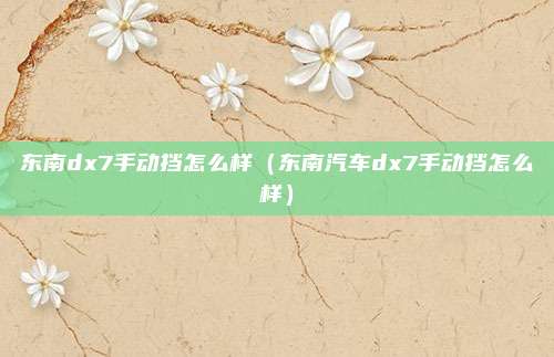 东南dx7手动挡怎么样(东南汽车dx7手动挡怎么样)