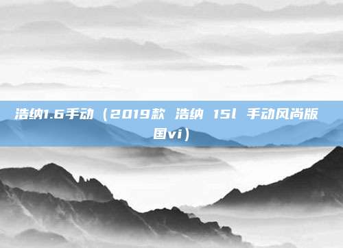 浩纳1.6手动(2019款 浩纳 15l 手动风尚版 国vi)