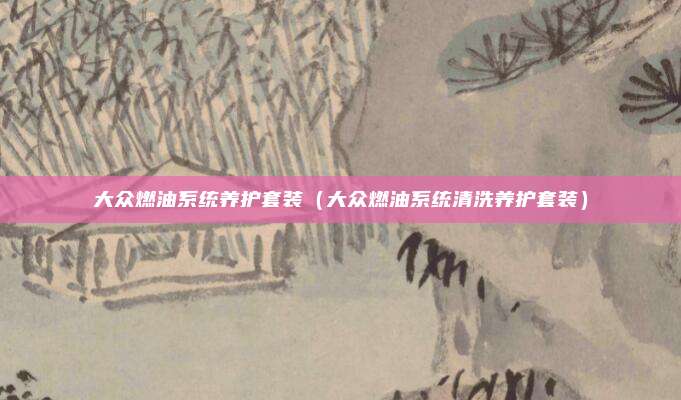 大众燃油系统养护套装(大众燃油系统清洗养护套装)