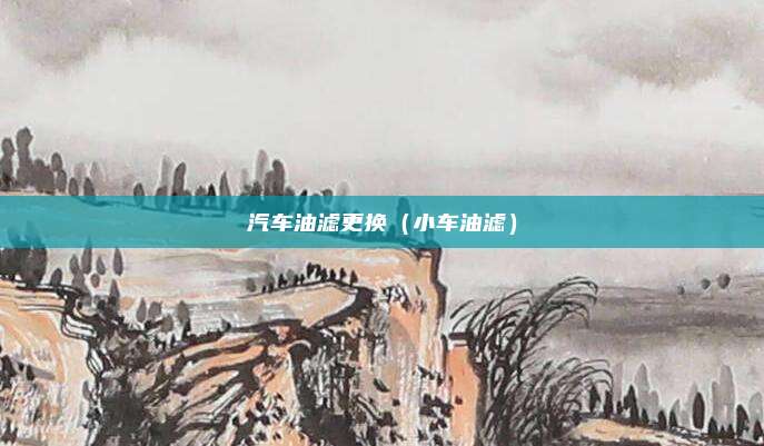 汽车油滤更换（小车油滤）