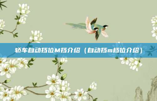 轿车自动挡位M挡介绍(自动挡m档位介绍)