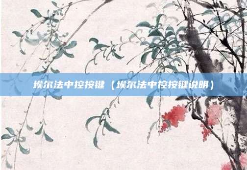 埃尔法中控按键(埃尔法中控按键说明)