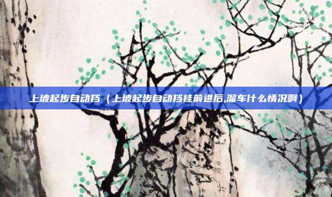 上坡起步自动挡(上坡起步自动挡挂前进后,溜车什么情况啊)