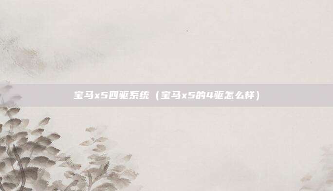 宝马x5四驱系统（宝马x5的4驱怎么样）