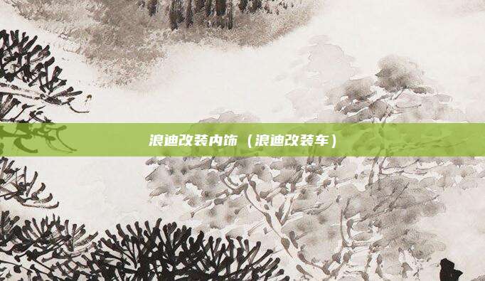 浪迪改装内饰（浪迪改装车）