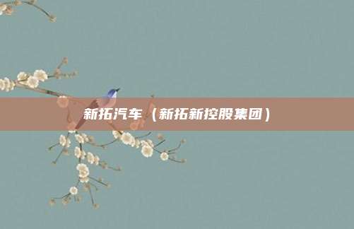 新拓汽车（新拓新控股集团）