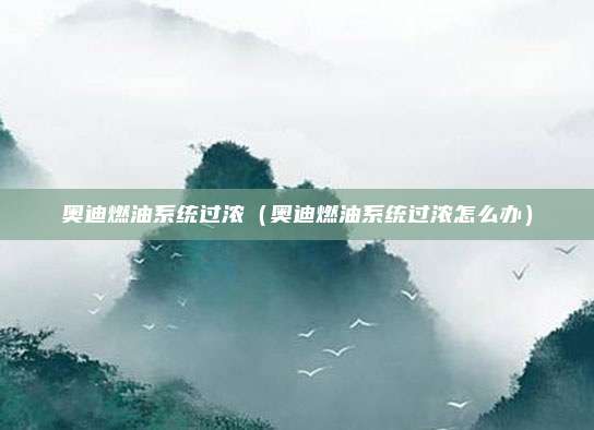 奥迪燃油系统过浓(奥迪燃油系统过浓怎么办)