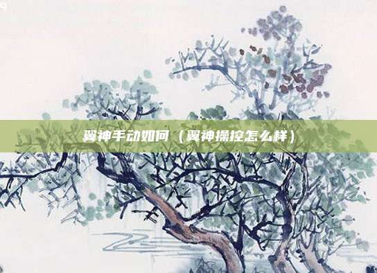 翼神手动如何(翼神操控怎么样)