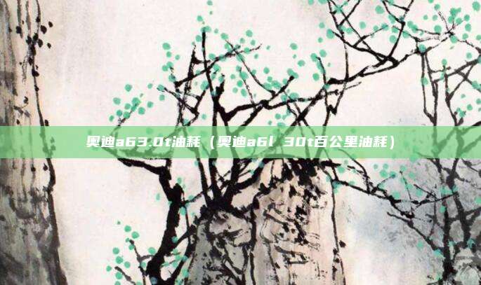 奥迪a63.0t油耗（奥迪a6l 30t百公里油耗）