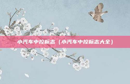 小汽车中控标志（小汽车中控标志大全）