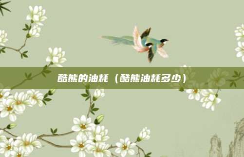 酷熊的油耗(酷熊油耗多少)