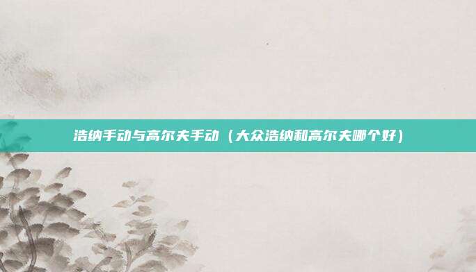 浩纳手动与高尔夫手动(大众浩纳和高尔夫哪个好)