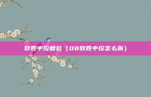 致胜中控复位(08致胜中控怎么拆)