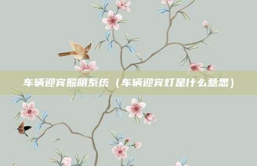 车辆迎宾照明系统（车辆迎宾灯是什么意思）