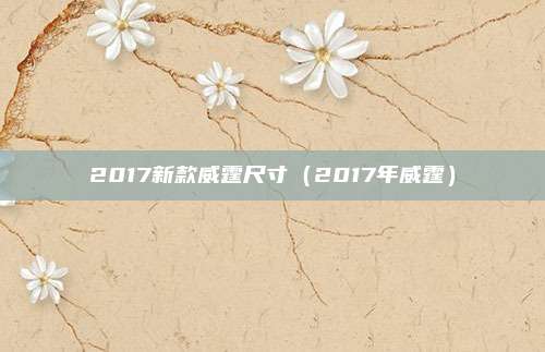 2017新款威霆尺寸（2017年威霆）