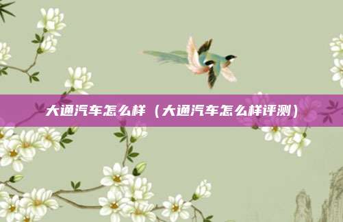 大通汽车怎么样(大通汽车怎么样评测)