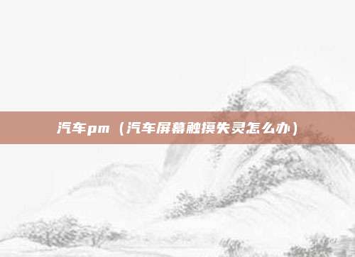 汽车pm(汽车屏幕触摸失灵怎么办)