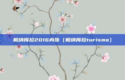 帕纳梅拉2016内饰（帕纳梅拉turismo）