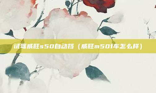 试驾威旺s50自动挡（威旺m50f车怎么样）