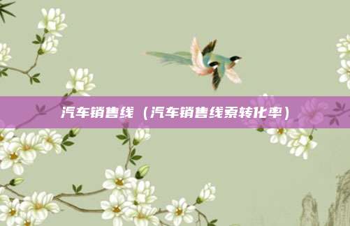 汽车销售线（汽车销售线索转化率）
