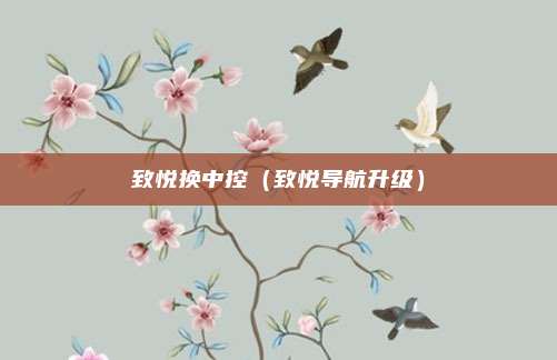 致悦换中控（致悦导航升级）