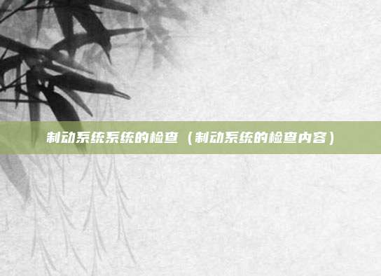 制动系统系统的检查(制动系统的检查内容)