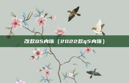 改款Q5内饰(2022款q5内饰)