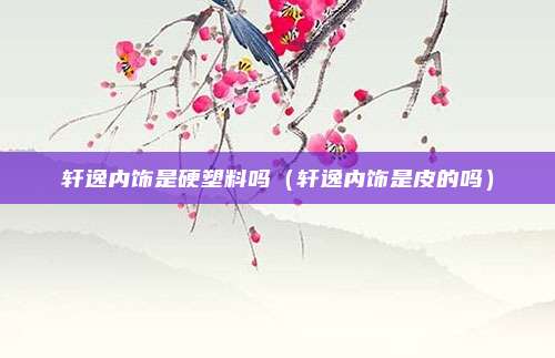 轩逸内饰是硬塑料吗(轩逸内饰是皮的吗)