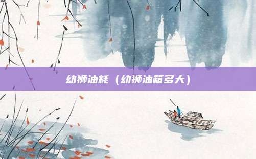 幼狮油耗（幼狮油箱多大）