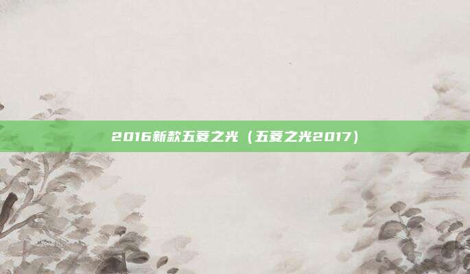 2016新款五菱之光（五菱之光2017）