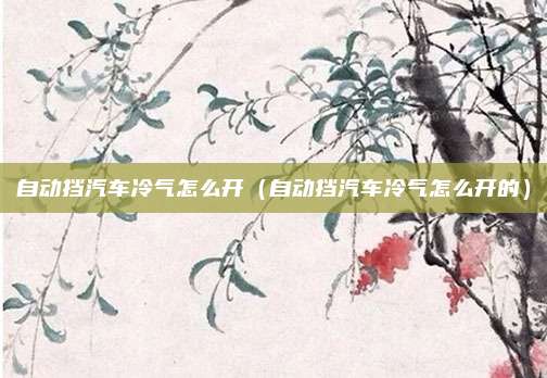 自动挡汽车冷气怎么开(自动挡汽车冷气怎么开的)