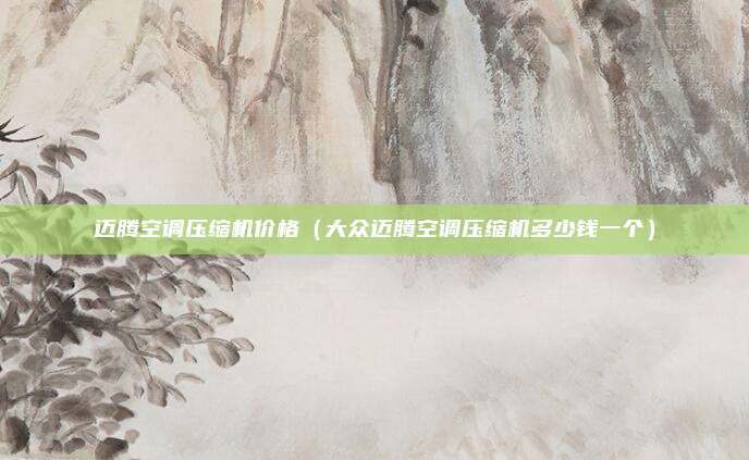 迈腾空调压缩机价格（大众迈腾空调压缩机多少钱一个）