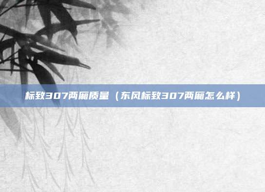 标致307两厢质量（东风标致307两厢怎么样）