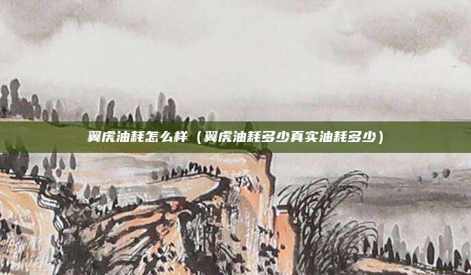 翼虎油耗怎么样（翼虎油耗多少真实油耗多少）