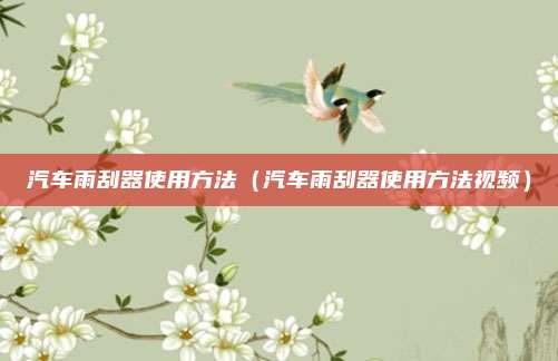 汽车雨刮器使用方法（汽车雨刮器使用方法视频）