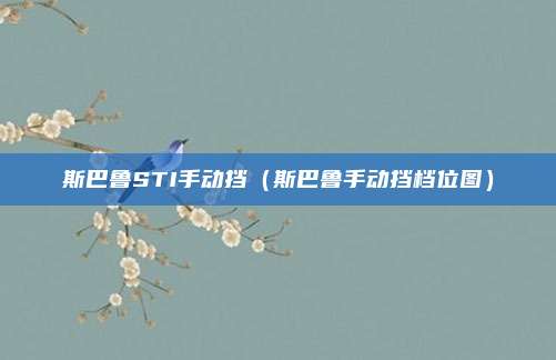 斯巴鲁STI手动挡（斯巴鲁手动挡档位图）