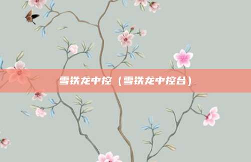 雪铁龙中控（雪铁龙中控台）