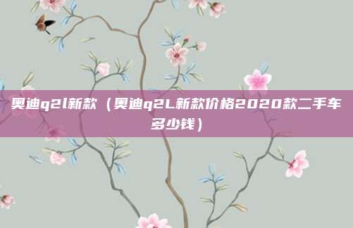 奥迪q2l新款（奥迪q2L新款价格2020款二手车多少钱）