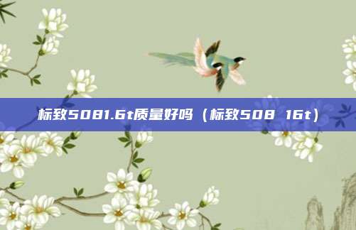 标致5081.6t质量好吗(标致508 16t)
