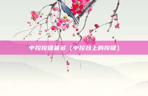 中控按键最多（中控台上的按键）