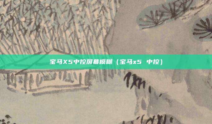 宝马X5中控屏幕模糊（宝马x5 中控）