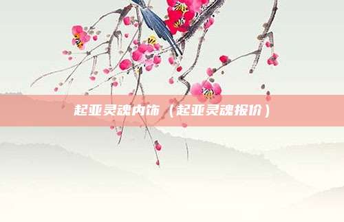 起亚灵魂内饰（起亚灵魂报价）