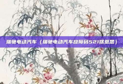 瑞驰电动汽车（瑞驰电动汽车故障码521啥意思）
