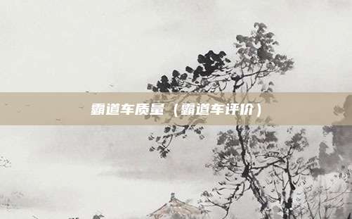 霸道车质量（霸道车评价）